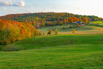 Obraz premium landscape of autumn farmland with woods in sunset light