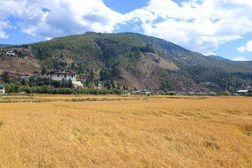 Fototapeta na wymiar Paro, Bhutan