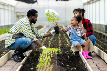 Earth day. environment day concept. Young plant on the ground in hand