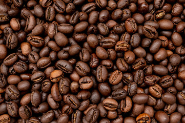 Robusta coffee bean medium roasted
