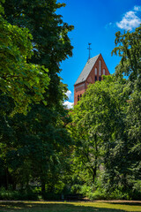Blick vom Klemkepark auf den hinter Bäumen versteckten Turm der katholischen St.-Marien-Kirche in Berlin-Reinickendorf