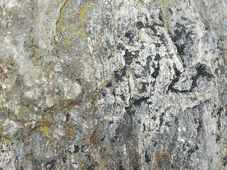 Gray granite stone with inclusions of mica and green moss. Granite background. Textured granite stone