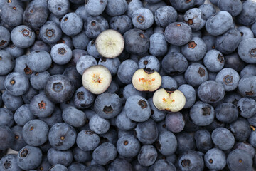 新鮮なブルーベリーの背景。 テクスチャブルーベリーの接写。