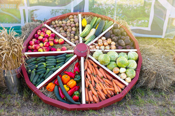 Colorful sellection of fruits apples, berries, nuts and vegetables , cucumber, cabbage, carrots,...