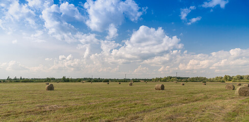 Obraz premium hay in rolls on the field, against the background of a blue sky with clouds