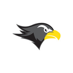 Bird falcon and  logo design, eagle or hawk badge emblem