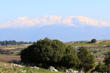 Fototapeta na wymiar There is snow on Mount Hermon in northern Israel.
