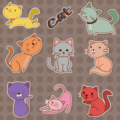 Cat sticker.