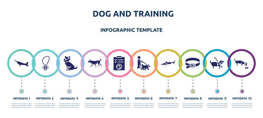 dog and training concept infographic design template. included big swordfish, rope toy, cone of shame, dog running, cat health list, dog walker, big shark, leads, eating icons and 10 option or
