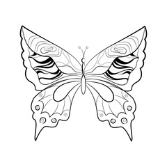 Butterfly with a pattern on the wings, exotic insects, print for tattoo. Vector illustration.