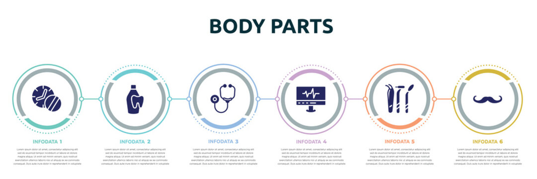 body parts concept infographic design template. included medicines time, dentist bottle with liquid, stethoscope, heartbeats monitoring, dentist tools, mustache curled tip icons and 6 option or