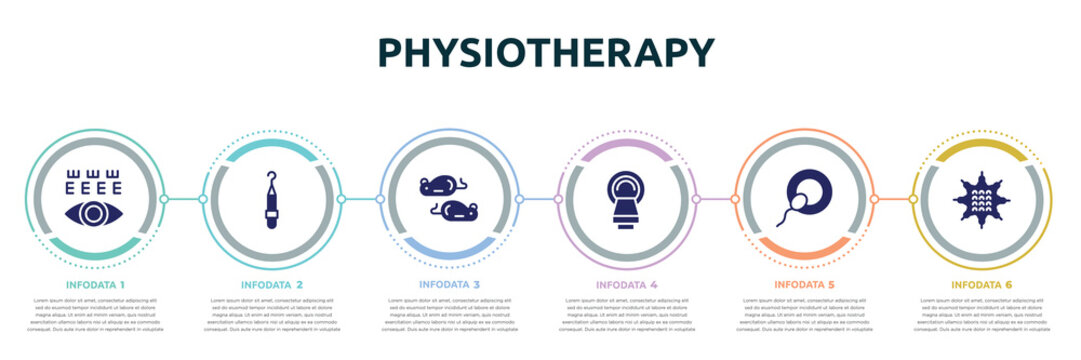 physiotherapy concept infographic design template. included eye test, periodontal scaler, mice, tomography, insemination, massage ball icons and 6 option or steps.