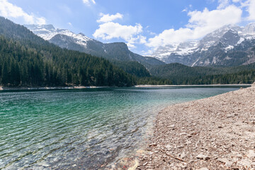 Gently sloping shore of a high-mountain alpine lake Tovel, descending to emerald water covered with...