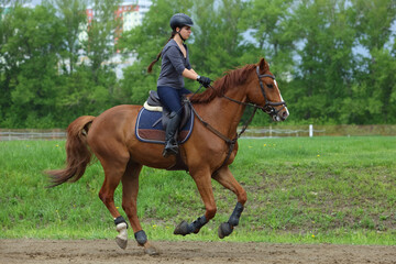Equestrian woman galloping sport thoroughbred horse in the farm