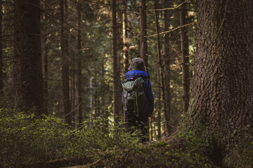 Obraz premium a boy on his way to camping in the woods. equipped with his backpack and equipment. ready for adventure.