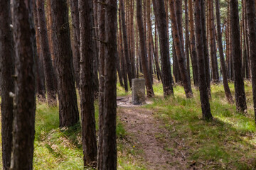 Przebrno Kamienie Graniczne