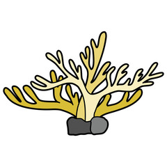 tree with roots
