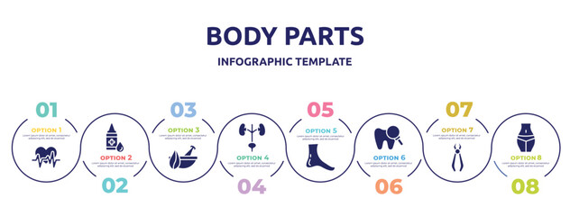 body parts concept infographic design template. included heart frequency, drop of liquid, natural herbs and a mortar for healing, excretory system, foot side view, zoom on tooth, forceps of dentist