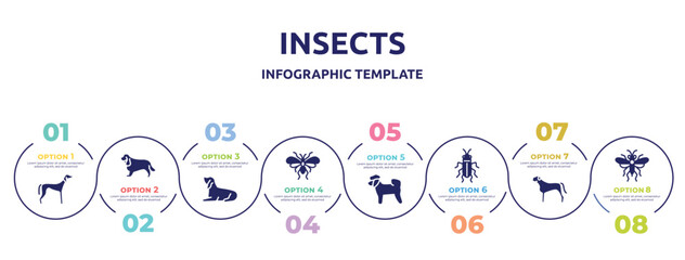 Fototapeta premium insects concept infographic design template. included saluki, english cocker spaniel, bas houd, psocoptera, bichon, red soldier beetle, bullmastiff, sawfly icons and 8 option or steps.