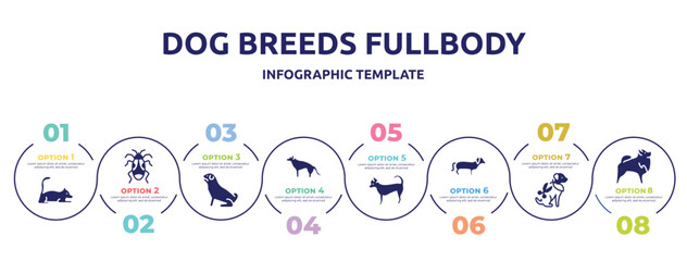 dog breeds fullbody concept infographic design template. included laying cat, pyrrhocoridae, pug, german sheperd, chihuahua, dachshund, grooming pet, pomeranian icons and 8 option or steps.