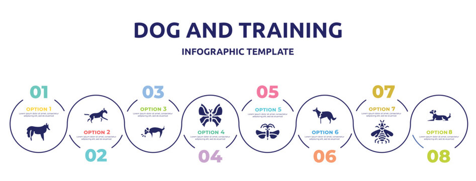 dog and training concept infographic design template. included shetland sheepdog, bulterrier, dog smelling dog, leaf butterfly, strepsiptera, collie, bumblebee, lying icons and 8 option or steps.
