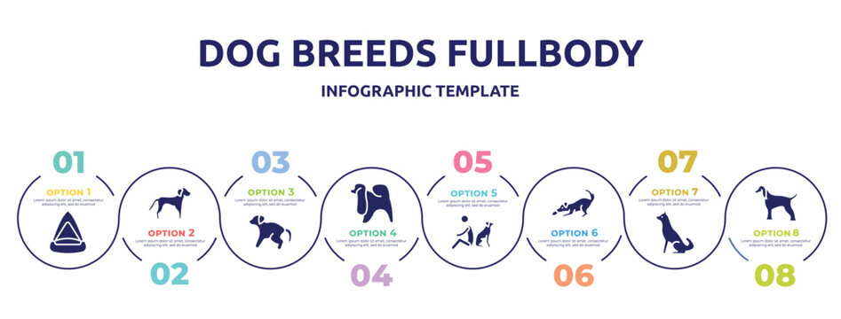 dog breeds fullbody concept infographic design template. included cat playhouse, springer spaniel, scold the dog, japanese chin, dog and man seating, dogs playing, akitas, afghan hound icons and 8