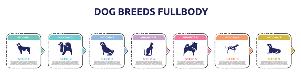 dog breeds fullbody concept infographic design template. included newfoundland, japanese chin, pug, egyptian cat, pomeranian, dalmatian, bas houd icons and 7 option or steps.