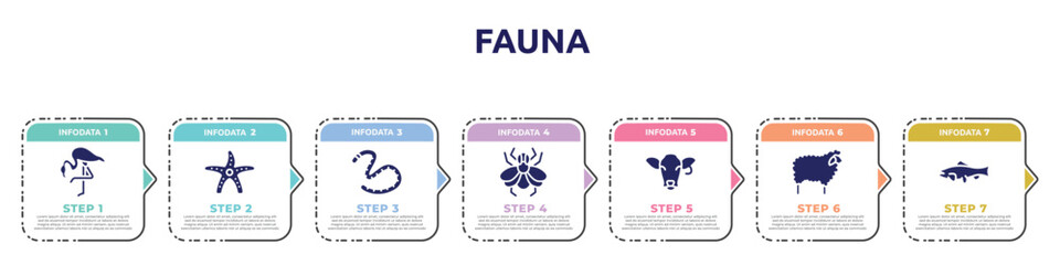 fauna concept infographic design template. included flamingo with leg up, starfish with dots, earth worm, big fly, cow head, sheep with wool, big salmon icons and 7 option or steps. © VectorStockDesign
