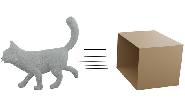 A 3D Cartoon Cat Walks Out of The Box. A preposition comes before a noun and connects it to another part of the sentence. 