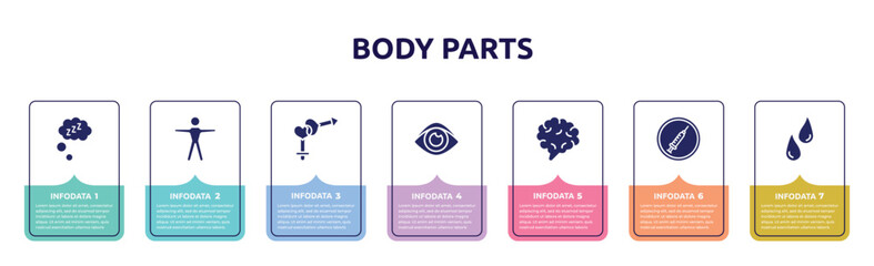 body parts concept infographic design template. included zzz sleep, human body standing, male and female gender, human eye shape, brain body organ, drug abuse, sweat or tear drop icons and 7 option