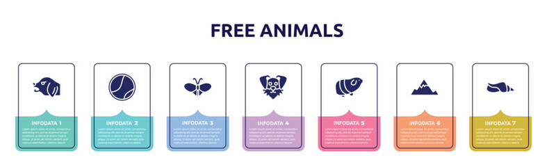 free animals concept infographic design template. included angry dog, tennis ball, plain butterfly, funny dog head, guinea pig heag, angular mountain, seashell conch icons and 7 option or steps.