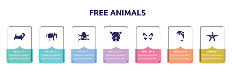 free animals concept infographic design template. included dog with long ears, elephant alone, tropical frop, face of staring dog, butterfly wings, jumping dolphin, starfish with dots icons and 7