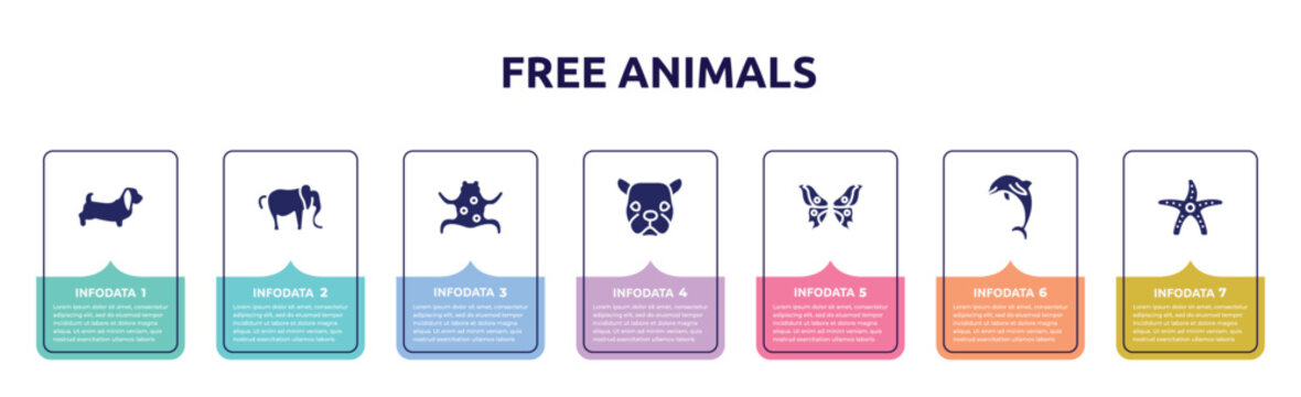 free animals concept infographic design template. included dog with long ears, elephant alone, tropical frop, face of staring dog, butterfly wings, jumping dolphin, starfish with dots icons and 7