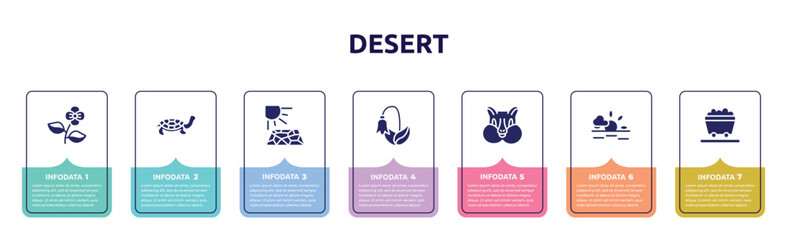 desert concept infographic design template. included poppy, tortoise, crack, harebell, chipmunk, sun, wagon icons and 7 option or steps.