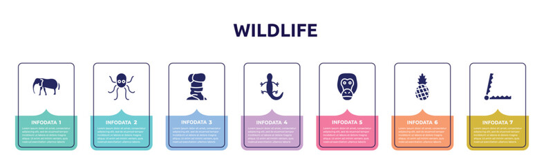 wildlife concept infographic design template. included elephants, octopus, turban, lizard, orangutan, pine, trap icons and 7 option or steps.