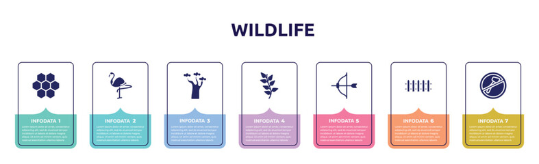 wildlife concept infographic design template. included moss, flamingo, baobab, herb, archery, fence, no cut icons and 7 option or steps.