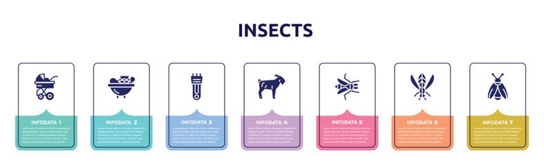 insects concept infographic design template. included stroller, cat bath, hair clipper, goat, gadfly, winged insect, firefly icons and 7 option or steps.