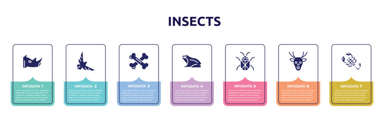 insects concept infographic design template. included rhinoceros, eagle, bones, frog, beetle, deer, scorpion icons and 7 option or steps.