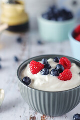 A bowl with Greek yogurt with berries	