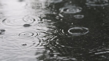Slow motion closeup of summer heavy rain drops falling into puddles on asphalt
