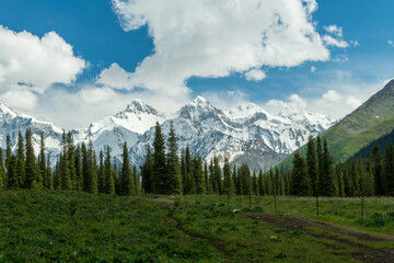 Fototapety na wymiar - Fototapeta24.pl