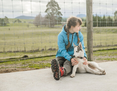 child petting a purebred siberian husky dog outdoors in a kennel or dog farm. High quality photo
