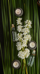 Spa setting with branch orchid with candle, oil bottle, on green leaves background.