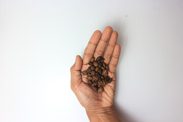 Roasted Coffee beans on a palm hand Barista.
