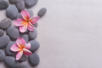 Obraz na płótnie Canvas frangipani and zen like grey stones with copy space on gray background