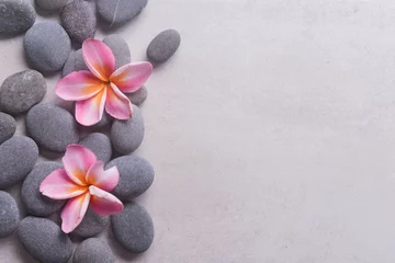 Zelfklevend Fotobehang frangipani en zen zoals grijze stenen met kopieerruimte op grijze achtergrond © William WANG