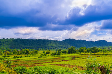 Landscape of a green field , mountains under blue sky.