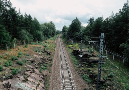 railway in the forest