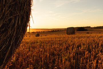 Abend auf dem Feld, Strohballen im Abendlicht