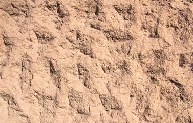 Background - an orange-red wall with dents and bumps.